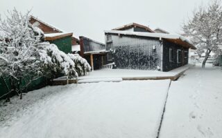 monica_toledo-32